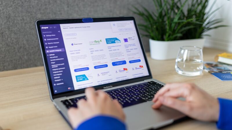Woocommerce Hosting: Den Ultimative Guide til At Optimere Din Onlinebutik